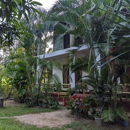 Nsk Green Homestay Sigiriya Exterior photo