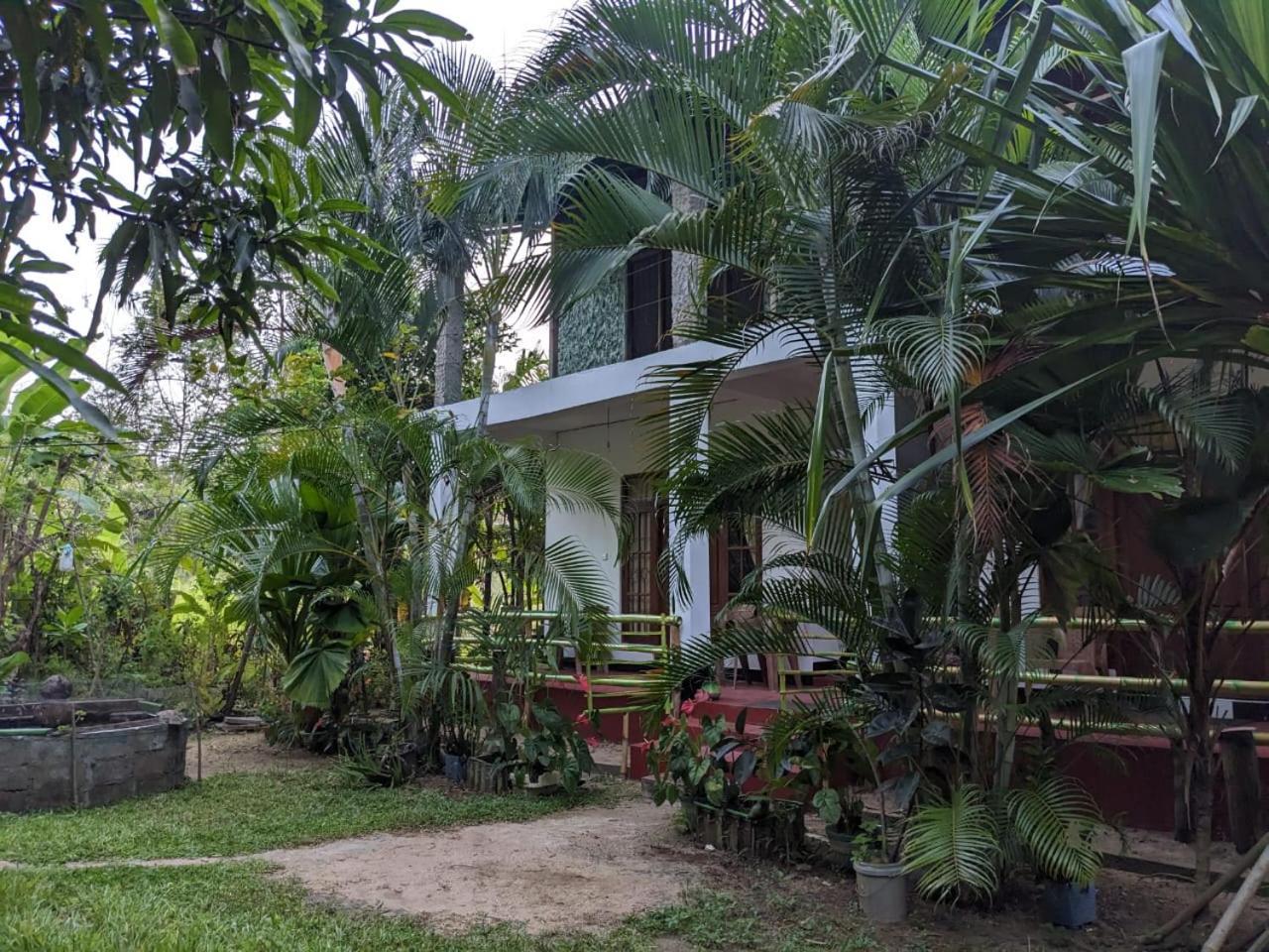 Nsk Green Homestay Sigiriya Exterior photo